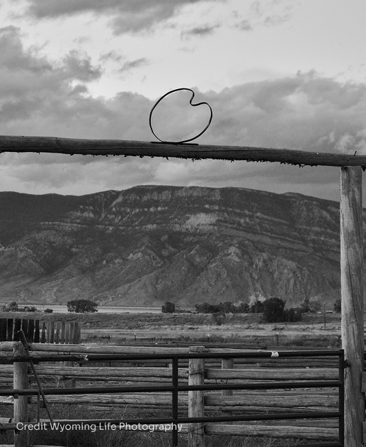 Treatment Facilities